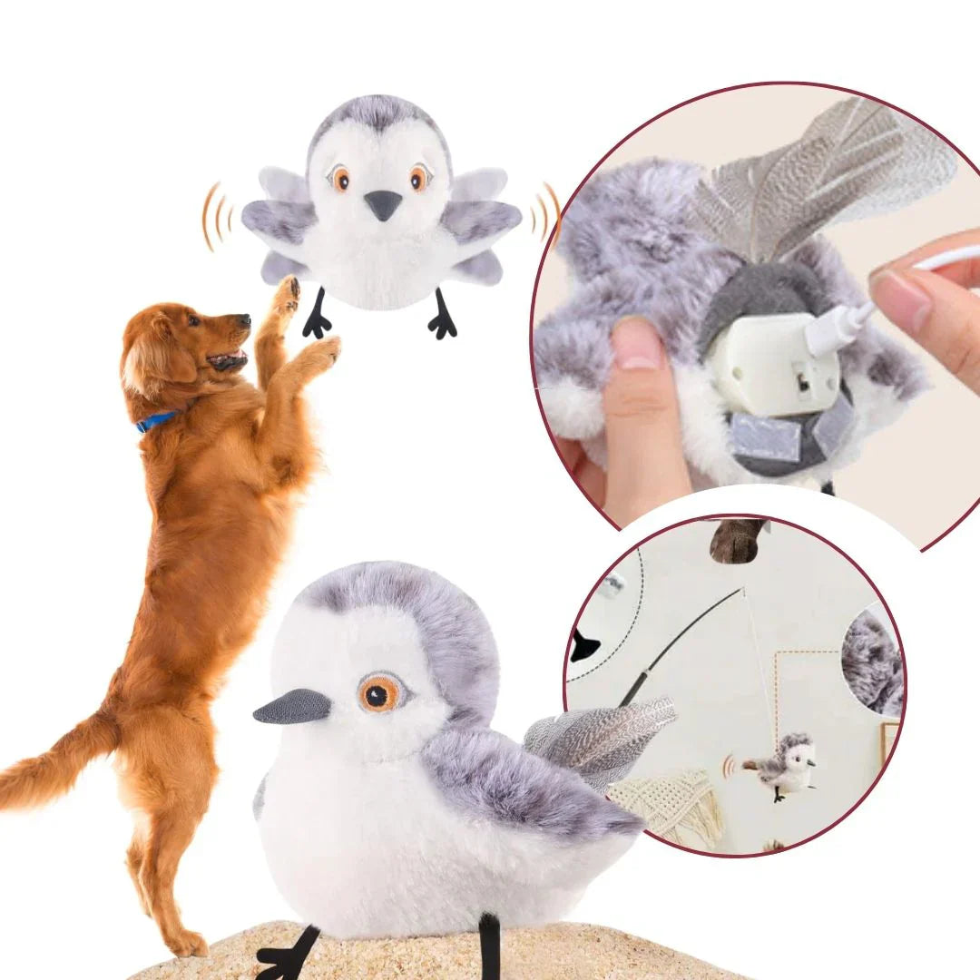 🦅 Pawzioo™– The Playful Companion that Comes to Life
